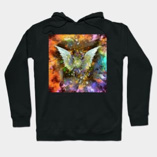 Wings Painting Hoodie